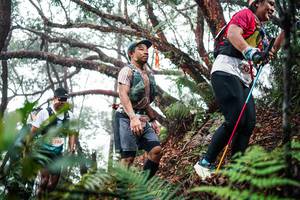 BIB: 
                            <button type="button" onclick="openModal(26297039)" class="btn btn-primary btn-sm float-right btn-popup" data-toggle="modal" data-target=".modal-high-quality">
                        <i class="fas fa-shopping-cart"></i> Add to Cart
                    </button>
                                            <button type="button" onclick="isThisMe(26297039, true)" class="btn btn-success btn-sm float-right btn-popup btn-isme hidden" data-toggle="tooltip" data-placement="bottom" title="นี่คือรูปของคุณใช่ไหม คลิกที่นี่เพื่อเอาเข้าอัลบั้ม">
                        <i class="fas fa-plus"></i> Add to album
                    </button>
                    <button type="button" onclick="isThisMe(26297039, false)" class="btn btn-warning btn-sm float-right btn-popup btn-isnotme hidden">
                        <i class="fas fa-ban"></i> Remove from album
                    </button>